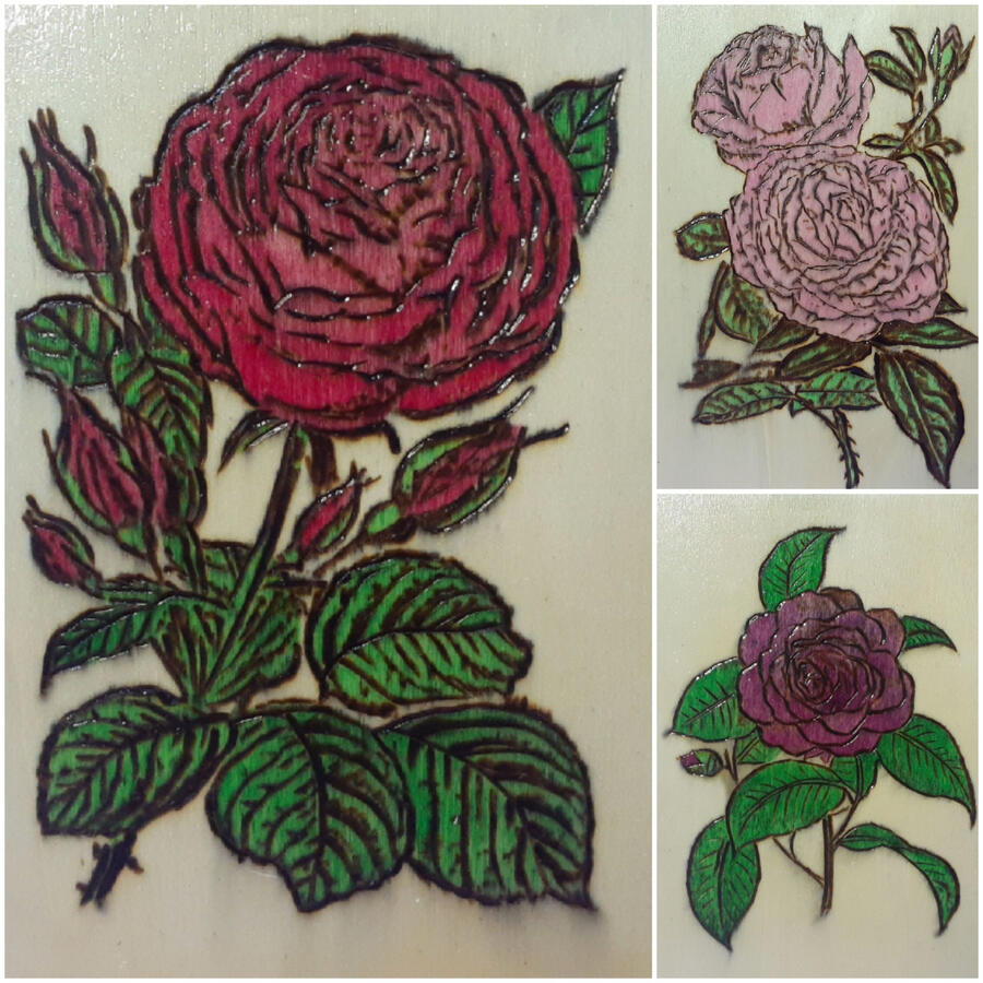 5x7" woodburnings, ink, poly finish